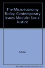 Social Justice in Political Economy