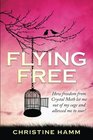 Flying Free How freedom from Crystal Meth let me out of my cage and allowed me to soar