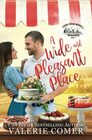 A Wide and Pleasant Place a smalltown Christian romance
