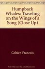 Humpback Whales Traveling on the Wings of a Song