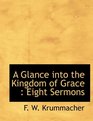 A Glance into the Kingdom of Grace Eight Sermons