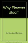 Why Flowers Bloom