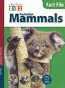 Australian Mammals