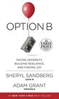Option B Facing Adversity Building Resilience and Finding Joy