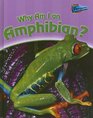 Why am I an Amphibian