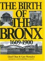 The Birth of the Bronx