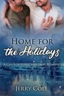 Home for the Holidays A Gay For You Christmas Romance