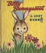 Billy Bunnyscoot The Lost Bunny
