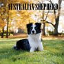 Australian Shepherd Calendar 2017 16 Month Calendar