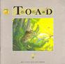 The Toad (My First Nature Book)