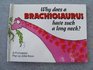 Why Does a Brachiosaurus Have Such a Long Neck