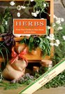 Herbs From Your Garden to Your Home