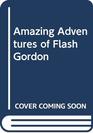 Amazing Adventures of Flash Gordon, Vol. 5