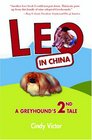 Leo In China A Greyhound's 2nd Tale