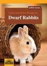 Games and House Design for Dwarf Rabbits