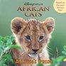 African Cats A Lions Pride