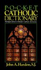 Pocket Catholic Dictionary