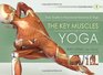 The Key Muscles of Yoga Scientific Keys Volume I