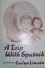 A trip with Sputnik