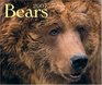 Bears 2007