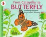 From Caterpillar to Butterfly (Let's-Read-and-Find-Out Science 1)