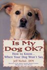 Is My Dog OK  How to Know When Your Dog Won't Say