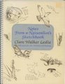 Notes From a Naturalist's Sketchbook