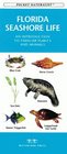 Florida Seashore Life An Introduction to Familiar Plants and Animals