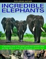 Exploring Nature Incredible Elephants A Fascinating Guide To The Gentle Giants That Dominate Africa And Asia Shown In More Than 190 Pictures