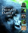 The Primate Family Tree The Amazing Diversity of Our Closest Relatives