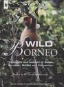 Wild Borneo The Wildlife and Scenery of Sabah Sarawak Brunei and Kalimantan