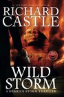 Wild Storm (a Derrick Storm Novel) (Castle)