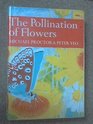 The pollination of flowers