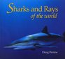 Sharks  Rays of the World