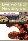Liverworts of New England A Guide for the Amateur Naturalist