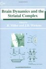 Brain Dynamics and the Striatal Complex