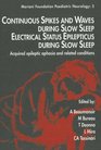 Continuous Spikes and Waves During Slow Sleep
