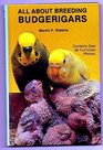All About Breeding Budgerigars