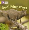 Real Monsters Yellow/Band 3