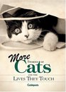 More Stories of Cats and the Lives They Touch