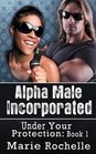 Alpha Male Incorporated Under Your Protection