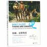 Don't Sleep,There Are Snakes:Life And Language The Amazonian Jungle (Chinese Edition)