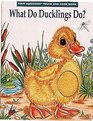What Do Ducklings Do