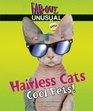 Hairless Cats Cool Pets