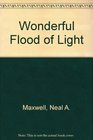 A Wonderful Flood of Light