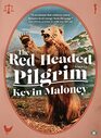 The RedHeaded Pilgrim