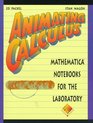 Animating Calculus Mathematica Notebooks for the Laboratory