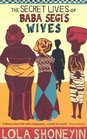 The Secret Lives of Baba Segi's Wives