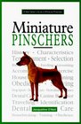 A New Owner's Guide to the Miniature Pinscher