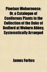 Pinetum Woburnense Or a Catalogue of Coniferous Plants in the Collection of the Duke of Bedford at Woburn Abbey Systematically Arranged